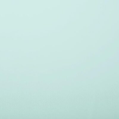 GSW® Interieurfolie effen NE54 - Clean Mint