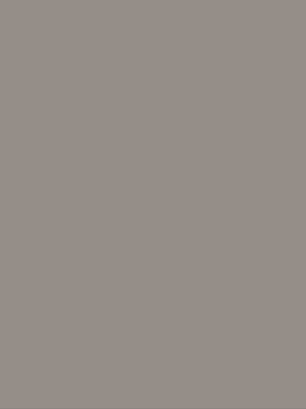 GSW® Interieurfolie effen RM03 - Lead Grey