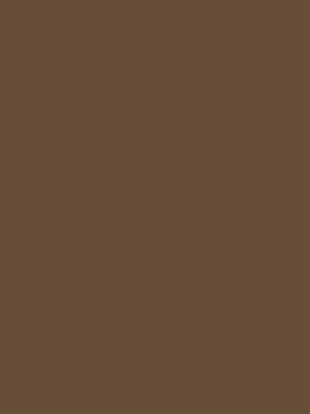 GSW® Interieurfolie effen RM04 - Brown Chocolate