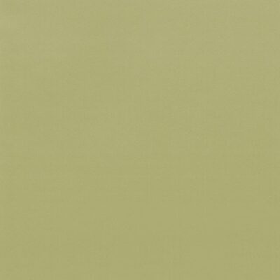 GSW® Interieurfolie effen RM19 - Olive Green
