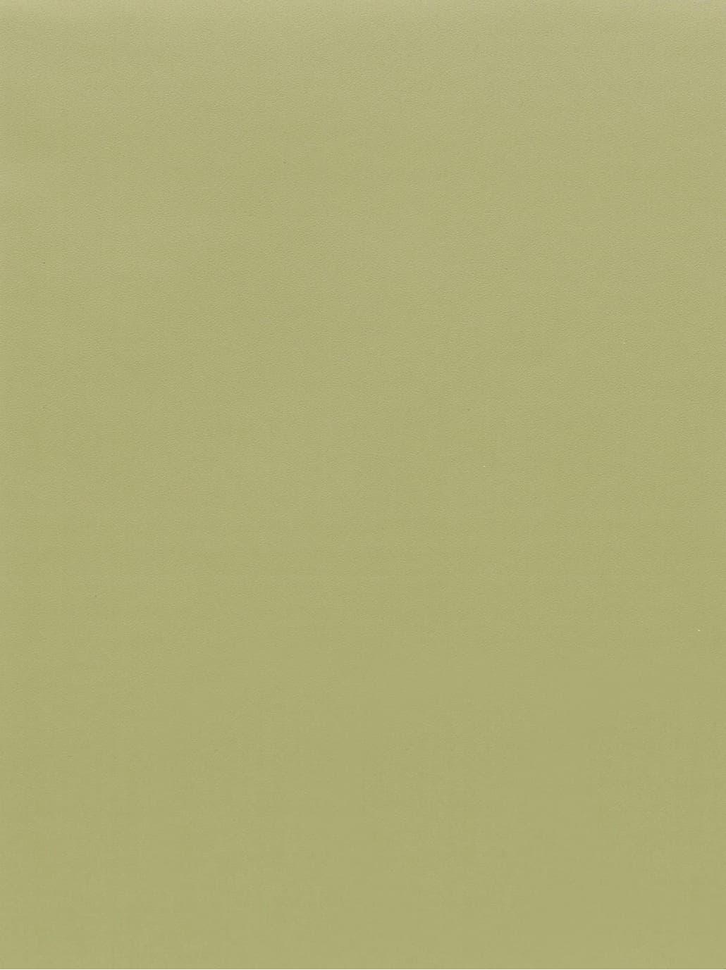 GSW® Interieurfolie effen RM19 - Olive Green