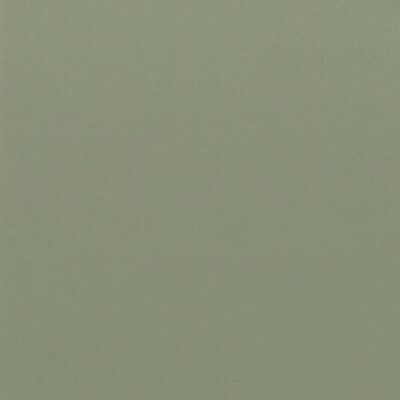 GSW® Interieurfolie effen RM20 - Sage Green