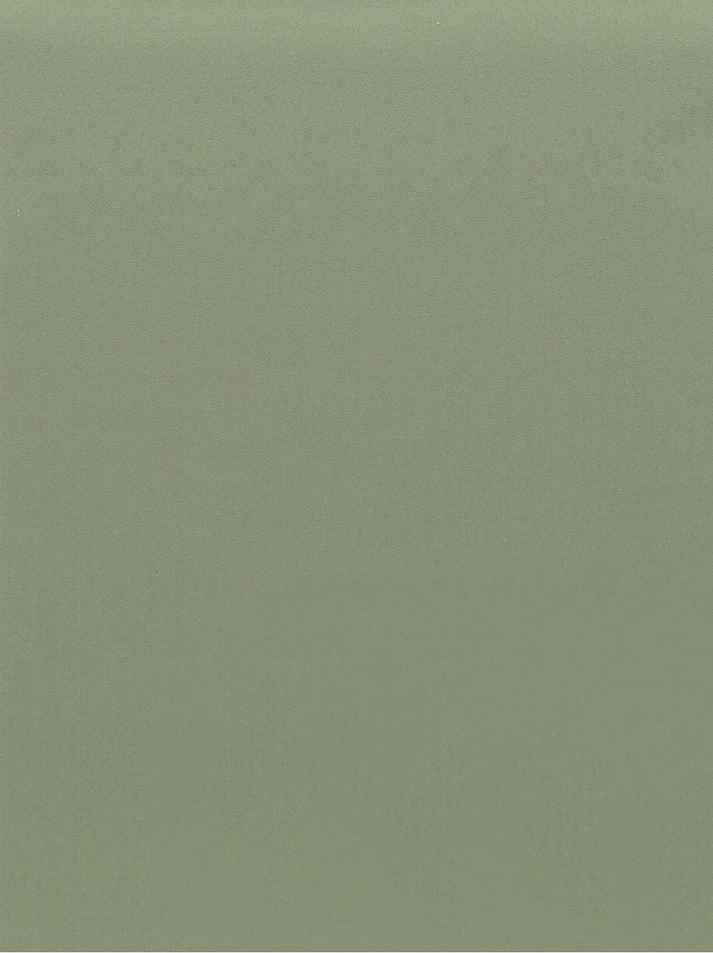 GSW® Interieurfolie effen RM20 - Sage Green