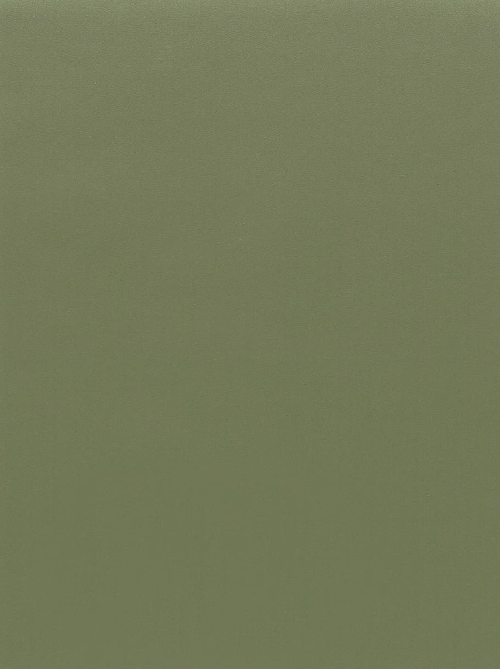 GSW® Interieurfolie effen RM21 - Army Green