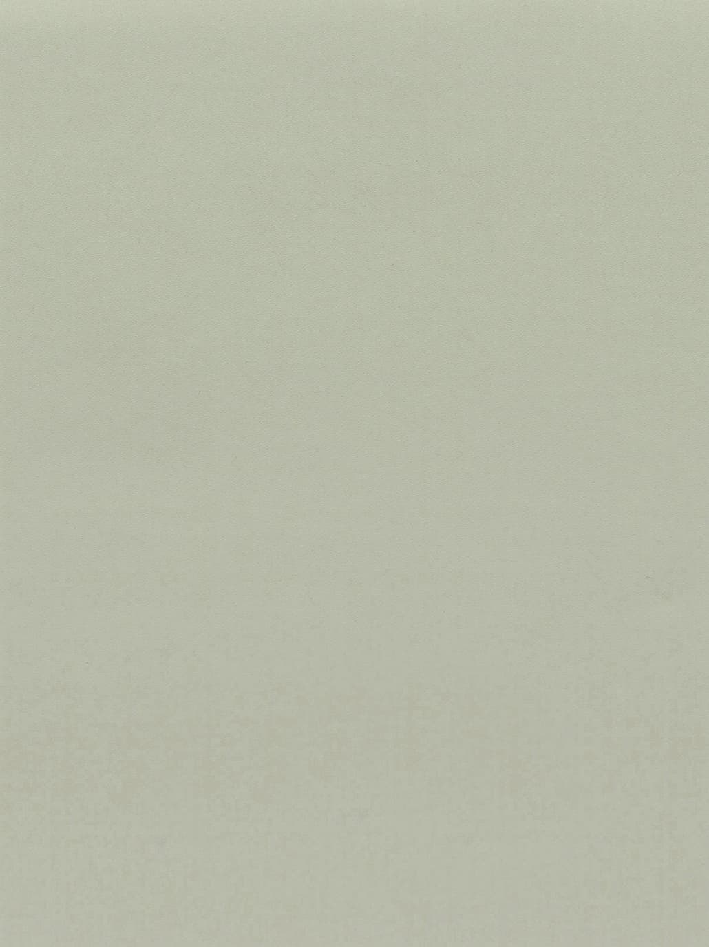 GSW® Interieurfolie effen RM30 - Pastel Olive Green