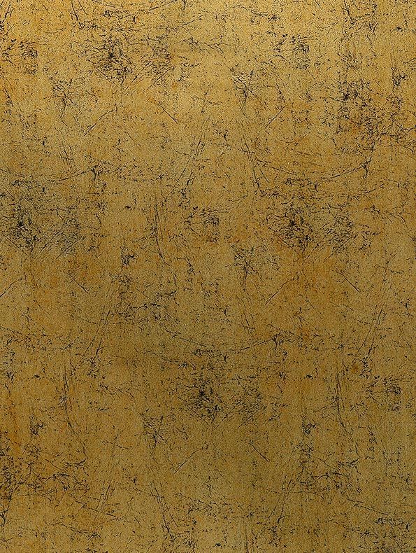 Interieurfolie Metaal AL07 - Gold Black