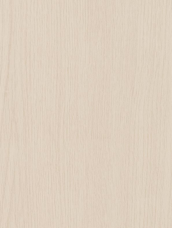 Interieurfolie Hout CT18 - White birch