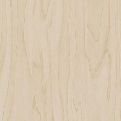 Interieurfolie Hout CT19 - Gold pale birch