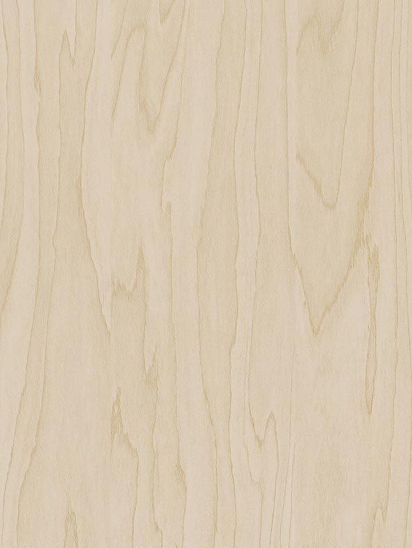 Interieurfolie Hout CT19 - Gold pale birch
