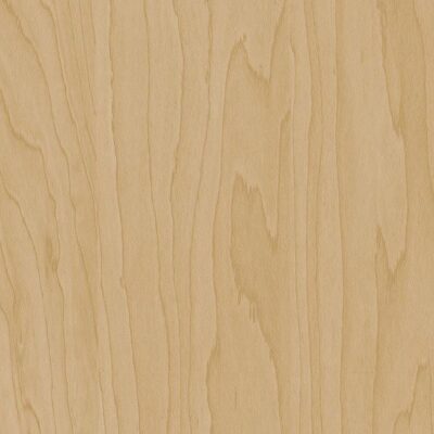 Interieurfolie Hout CT20 - Gold beige birch