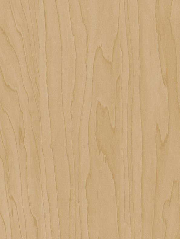 Interieurfolie Hout CT20 - Gold beige birch