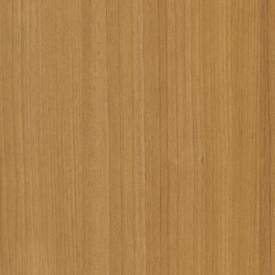 Interieurfolie Hout CT22 - Honey birch