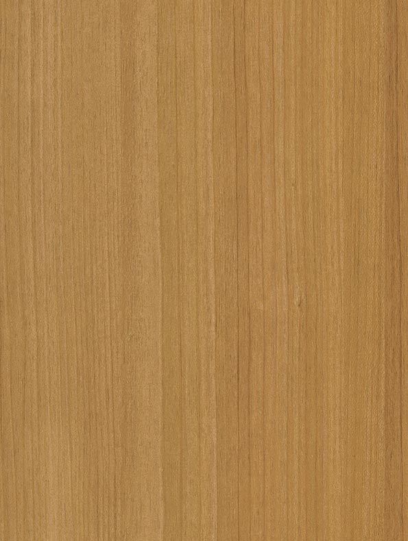 Interieurfolie Hout CT22 - Honey birch