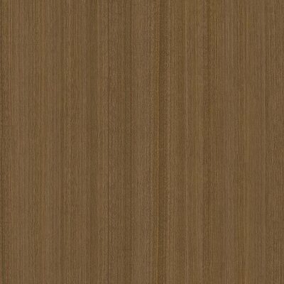 Interieurfolie Hout CT56 - Brown palm tree