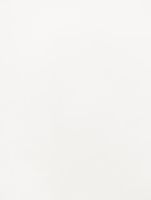 GSW® Interieurfolie effen J04 - Lacquered White - Afbeelding 4
