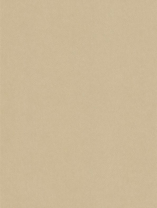 Interieurfolie Textiel NE42 - Cashmere - Afbeelding 4