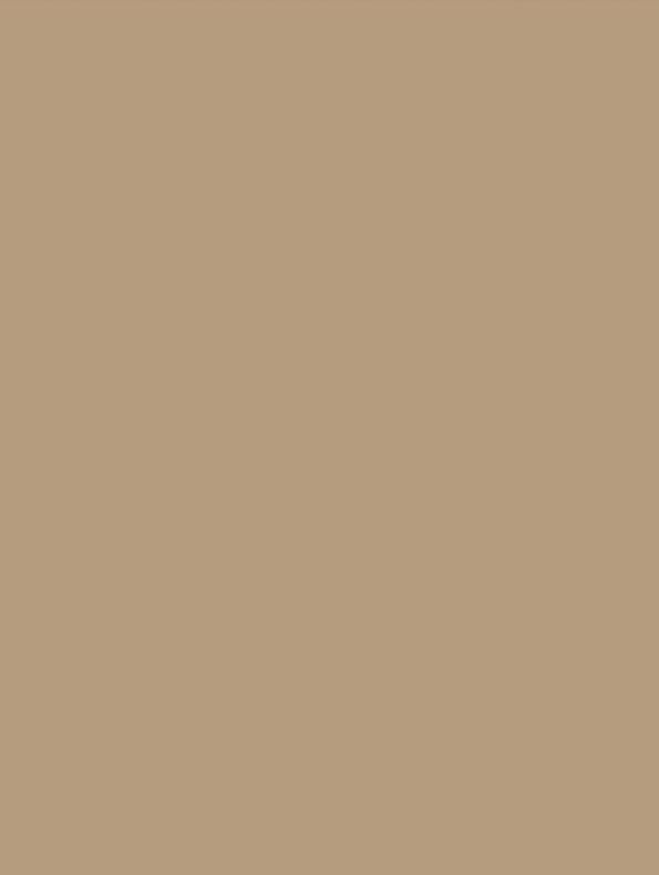 GSW® Interieurfolie effen NE55 - Caffe Latte - Afbeelding 2
