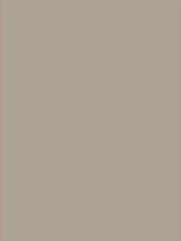 GSW® Interieurfolie effen NE78 - Cord - Afbeelding 2