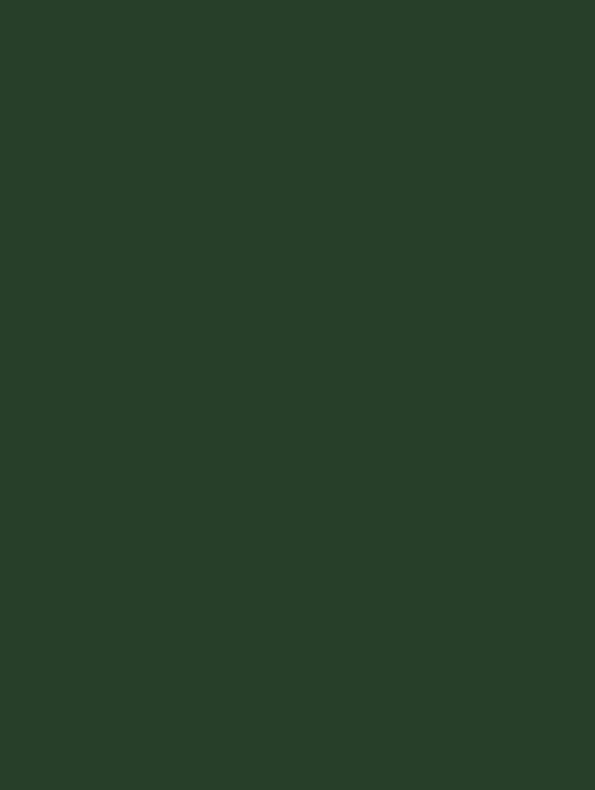GSW® Interieurfolie effen NE83 - Jade Green - Afbeelding 2