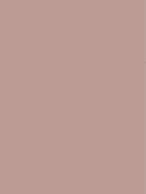 GSW® Interieurfolie effen NF02 - Antique Rose