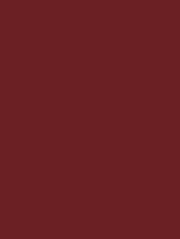 GSW® Interieurfolie effen NF04 - Bordeaux Red