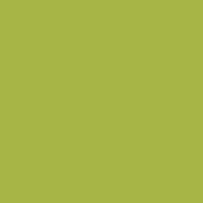 GSW® Interieurfolie effen NF05 - Green Lawn