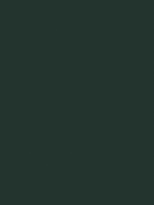 GSW® Interieurfolie effen NF13 - Deep Green