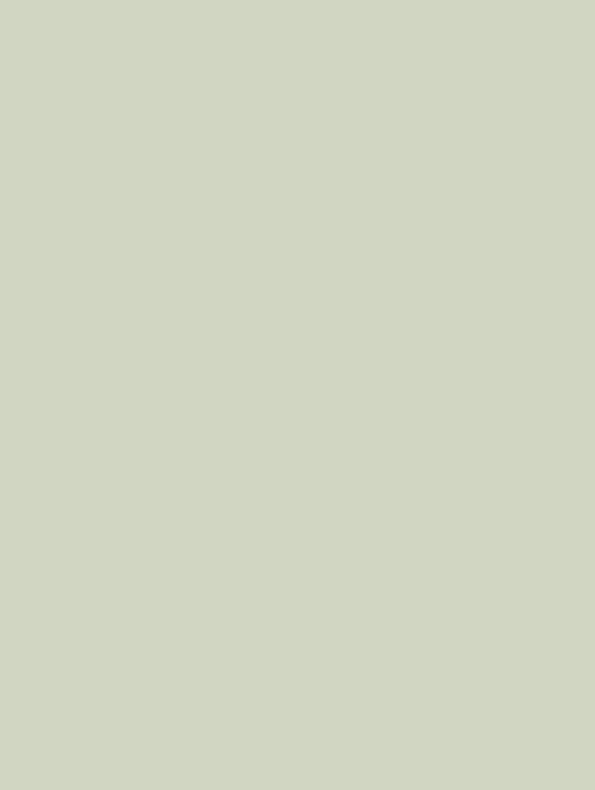 GSW® Interieurfolie effen NH05 - Pistachio Green
