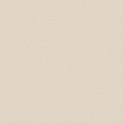 Interieurfolie Steen NH49 - Snowflak Stucco