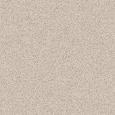 Interieurfolie Steen NH50 - Cashmere Stucco