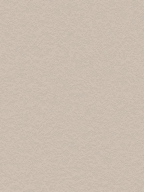 Interieurfolie Steen NH50 - Cashmere Stucco