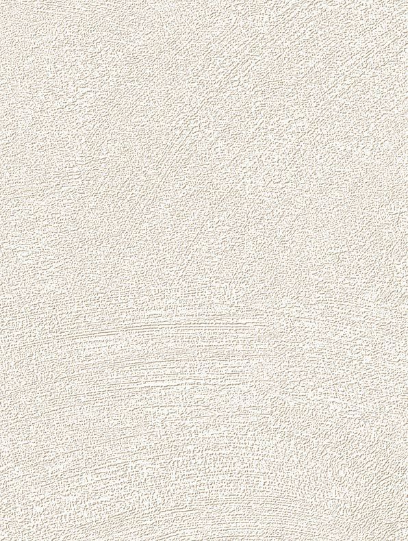 Interieurfolie Steen NH51 - White Stucco