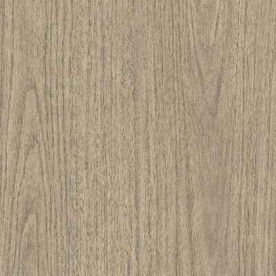 Interieurfolie Hout NH74 - Eucalyptus grove