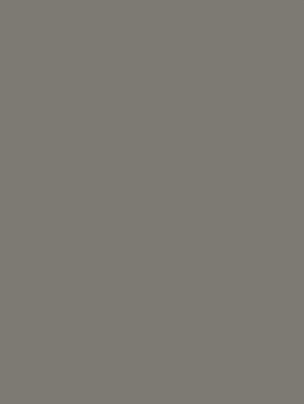 GSW® Interieurfolie effen RM03 - Lead Grey - Afbeelding 2