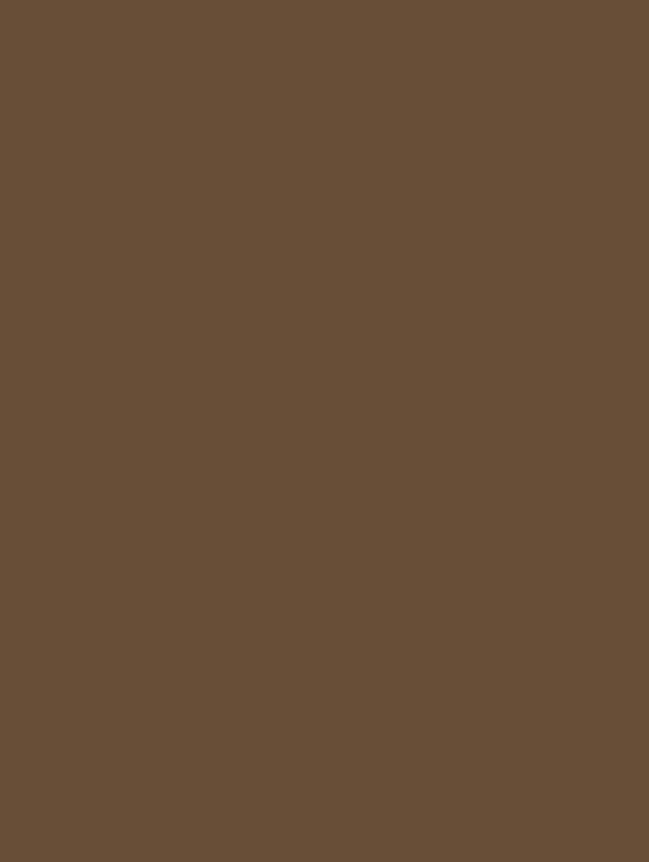 GSW® Interieurfolie effen RM04 - Brown Chocolate - Afbeelding 2