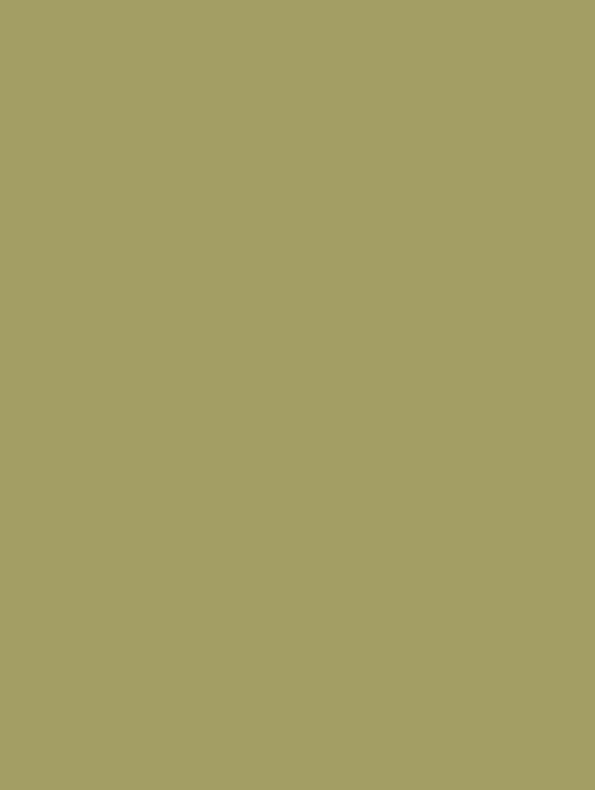 GSW® Interieurfolie effen RM19 - Olive Green - Afbeelding 2