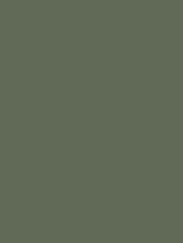 GSW® Interieurfolie effen RM20 - Sage Green - Afbeelding 2
