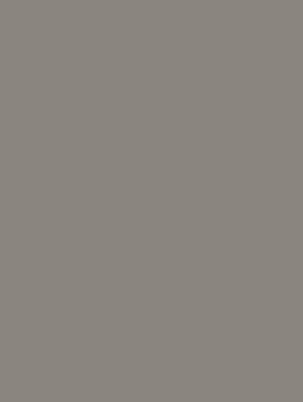 GSW® Interieurfolie effen RM28 - Asphalt Grey - Afbeelding 2