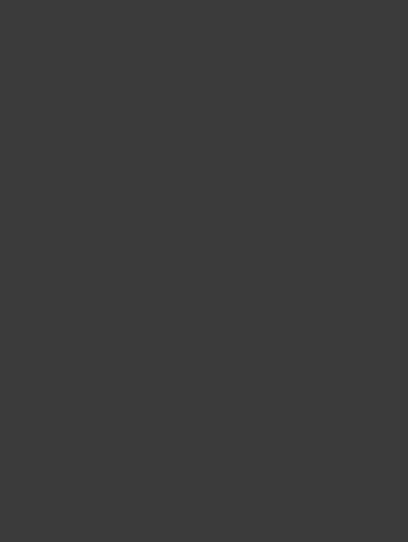 GSW® Interieurfolie effen RM29 - Onyx - Afbeelding 2